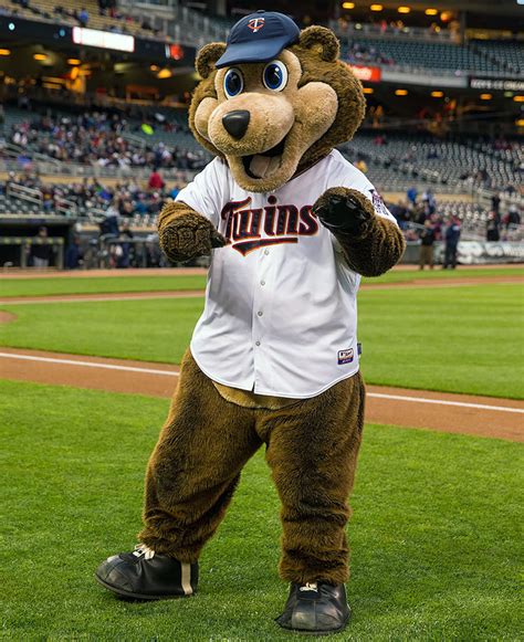 From Roaring to Snuggly: Naming Bears Mascots Across Different Sports